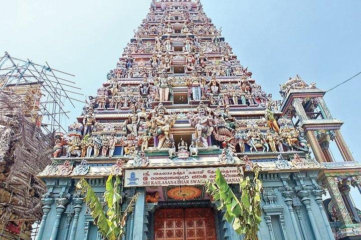Colombo Shopping & Sightseeing