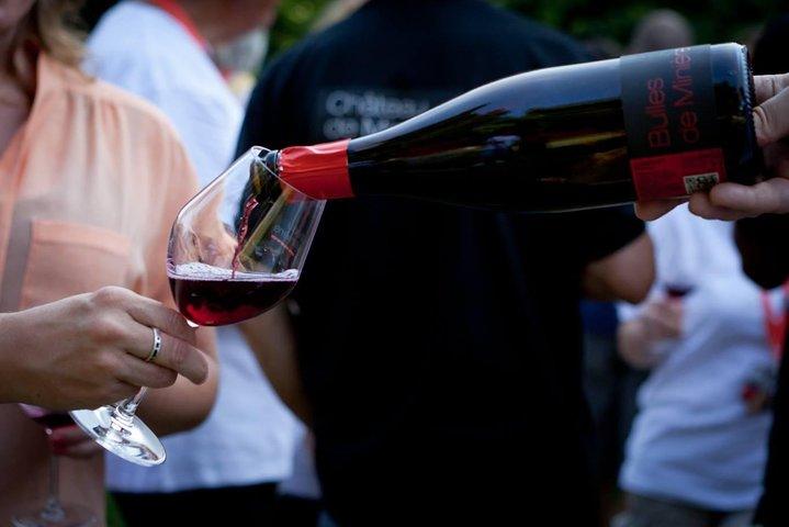 Loire Valley Wines Private Day Tour with Tastings from Tours or Amboise