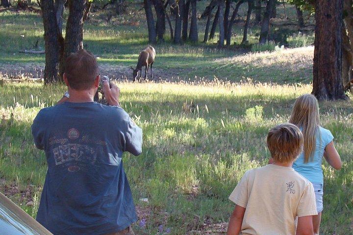 3 Hour Off-Road Sunset Safari to Grand Canyon with Entrance Gate Detour