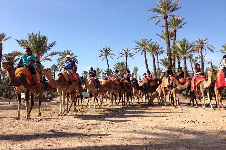 Camel Ride in Marrakech