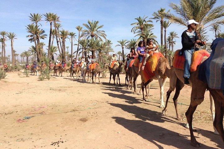 Camel Ride in Marrakech