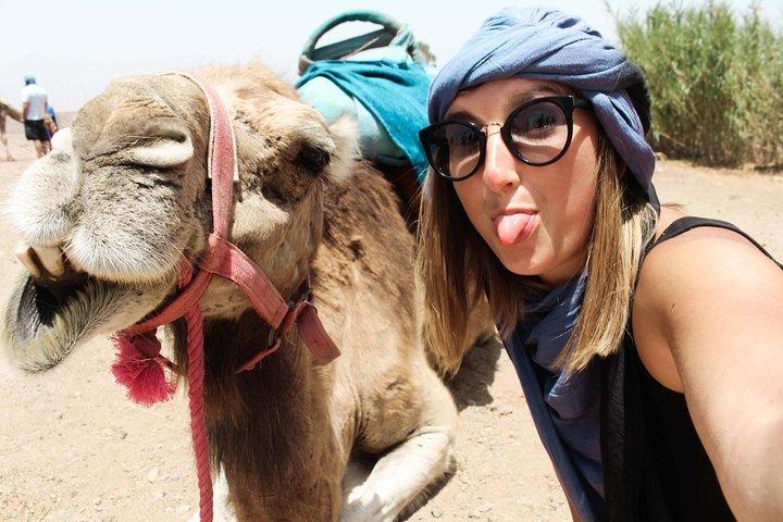 Camel Ride in Marrakech