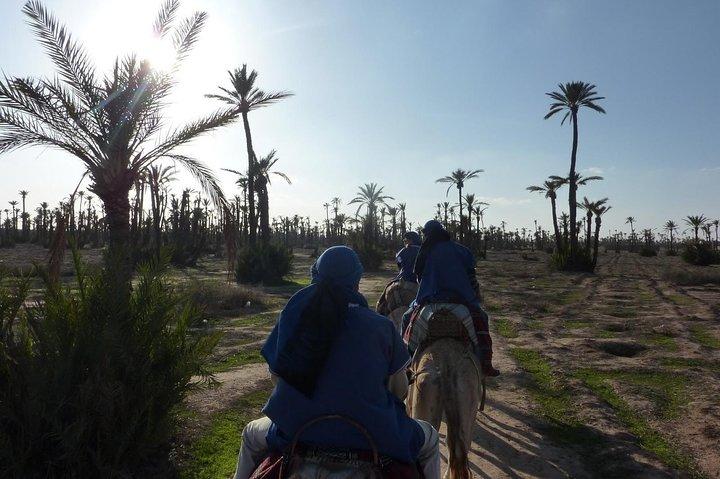 Camel Ride in Marrakech