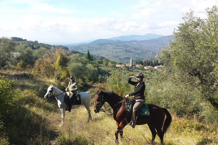 Horse ride, Olive Oil and local foods tasting in a Tuscan farm