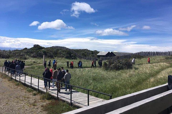 Cruises Shore Excursions : Highlights + Fort Bulnes
