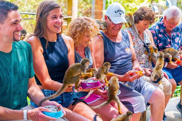 Monkeyland Puerto Plata