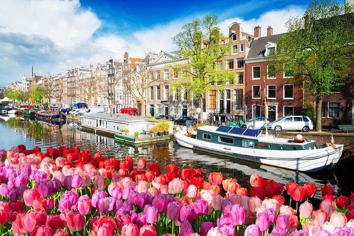 Amsterdam Private Sightseeing Tour for Kids & Families w/Local Guide