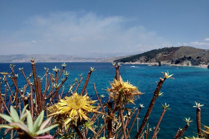 Half-day Tour in South Albania (Blue Eye, Lekursi Castle, Ksamil)