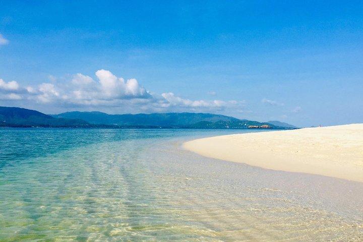 Private Speedboat Koh Tan & Pig Island Snorkeling from Samui
