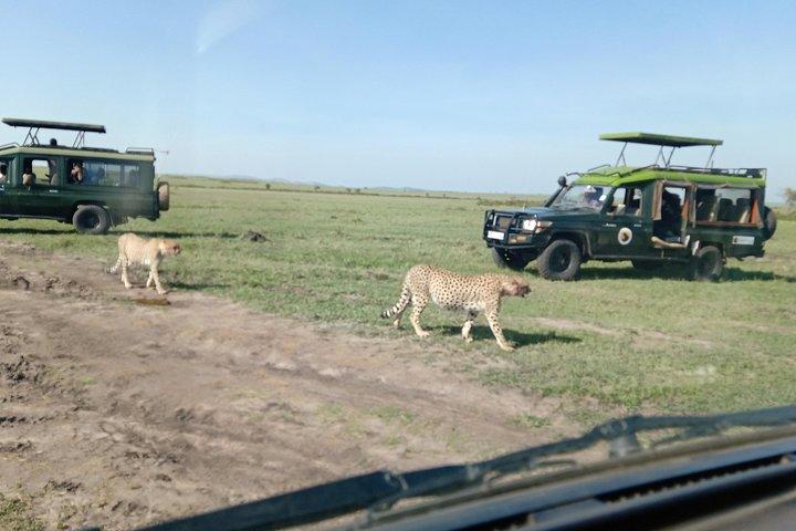 13 Days Photographers safari