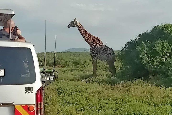 13 Days Photographers safari