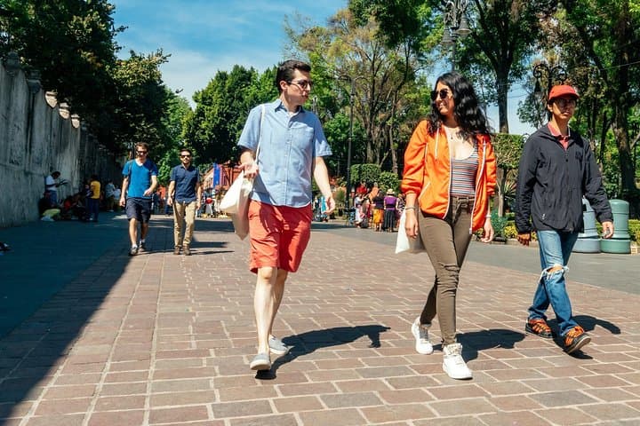 Off the Beaten Track in Mexico City: Private City Tour