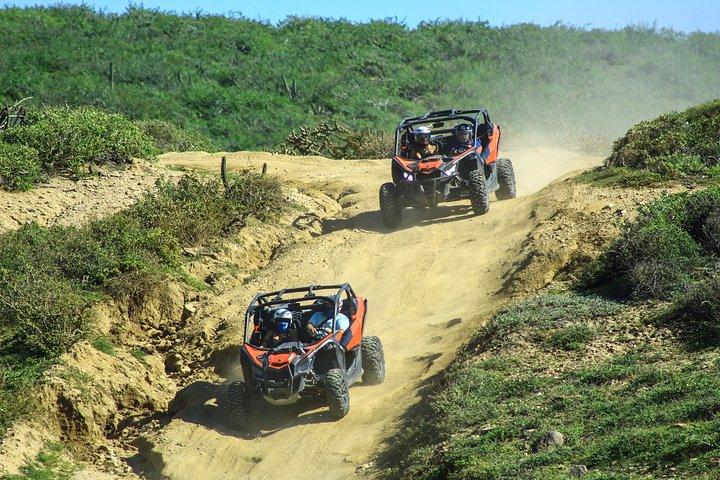 Beach and Desert Premium X3 UTV Tour in Cabo