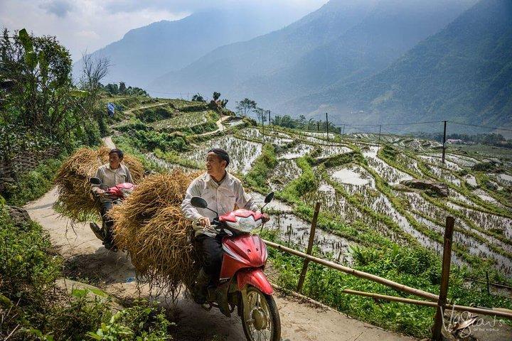 3-Day Trek in Amazing Muong Hoa Valley & ethnic Homestay