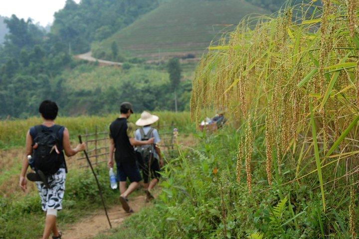 3-Day Trek in Amazing Muong Hoa Valley & ethnic Homestay