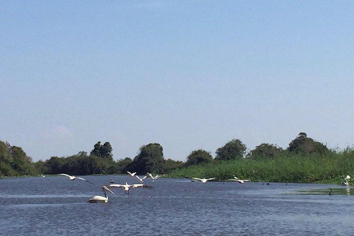 Private Tour Prek Toal Bird Sanctuary Off Beaten Track