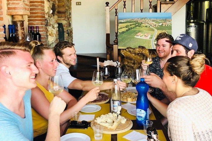 Tour in the Winery and tasting