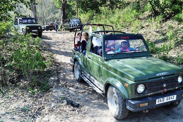 Rishikesh: Open Jeep Safari in Rajaji National Park