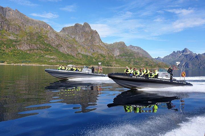 Trollfjord and Sea Eagle Safari Tour from Svolvaer