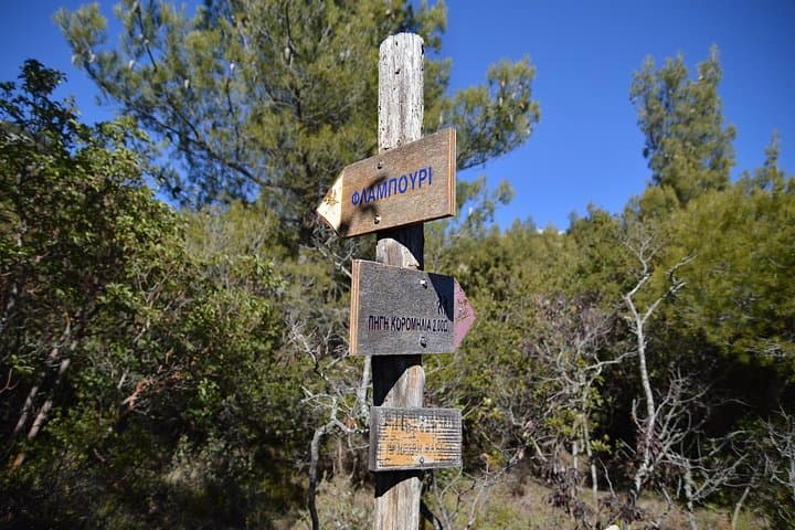 Hiking in Parnitha National Park Overlooking Athens