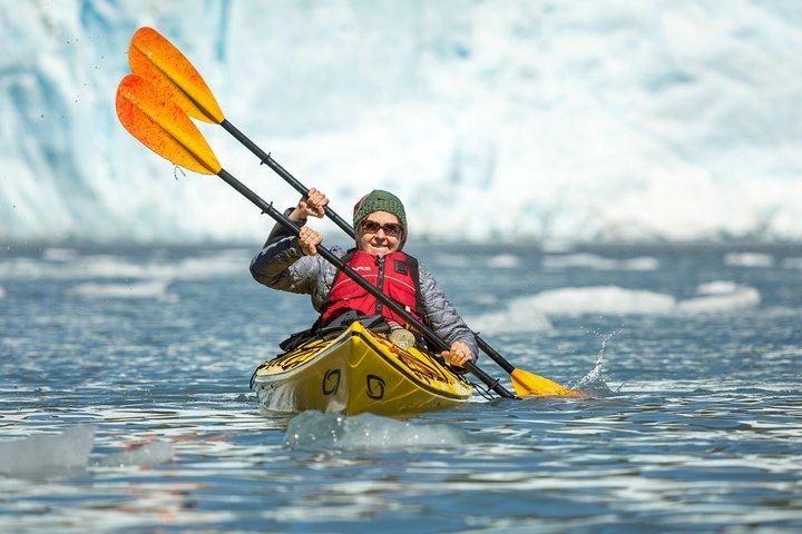 Kenai Fjords (Grand Day) Wildlife Cruise & Glacier Kayak Combo