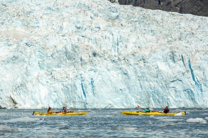 Kenai Fjords (Grand Day) Wildlife Cruise & Glacier Kayak Combo