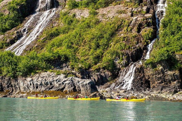 Kenai Fjords (Grand Day) Wildlife Cruise & Glacier Kayak Combo