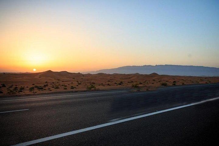 Sunrise Desert Safari