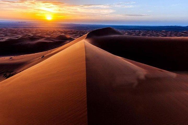 Sunrise Desert Safari