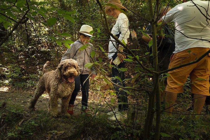 Truffle Picking Experience with 3 Course Meal in Chianti hills