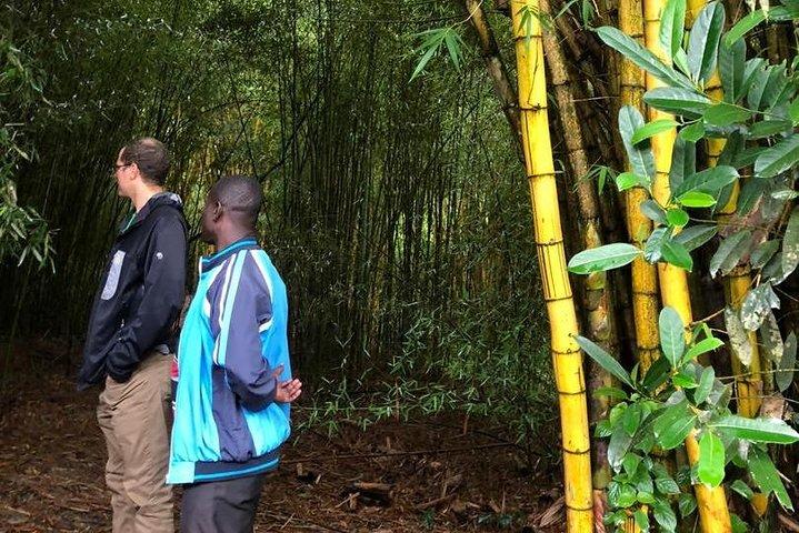 1 Day Tour of Jinja and Source of the Nile