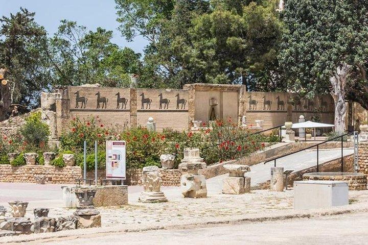 Tunis Group Tour: Carthage, Sidi Bou Said, Bardo museum & Medina