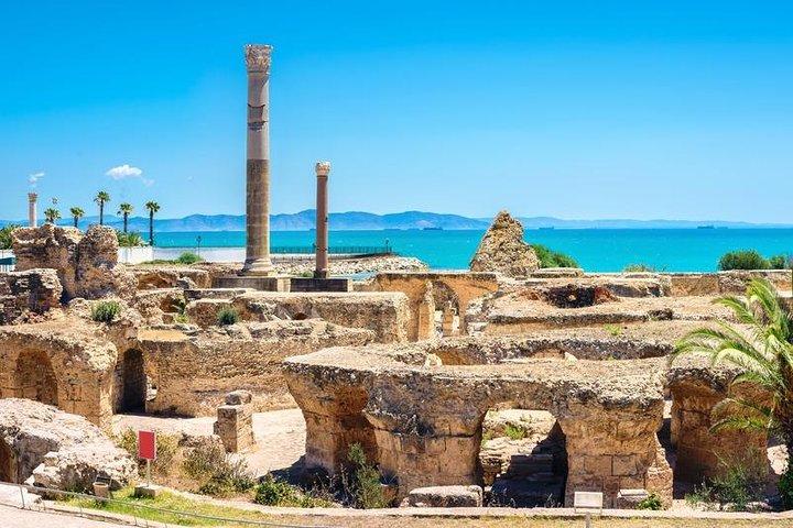 Tunis Group Tour: Carthage, Sidi Bou Said, Bardo museum & Medina