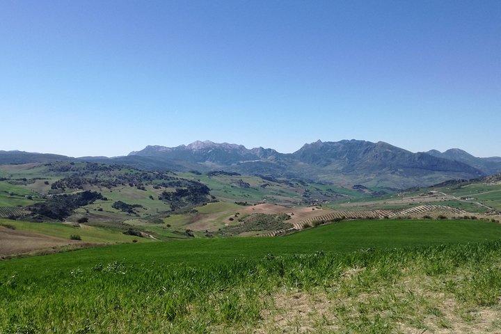 White Villages and Ronda Day Trip from Seville