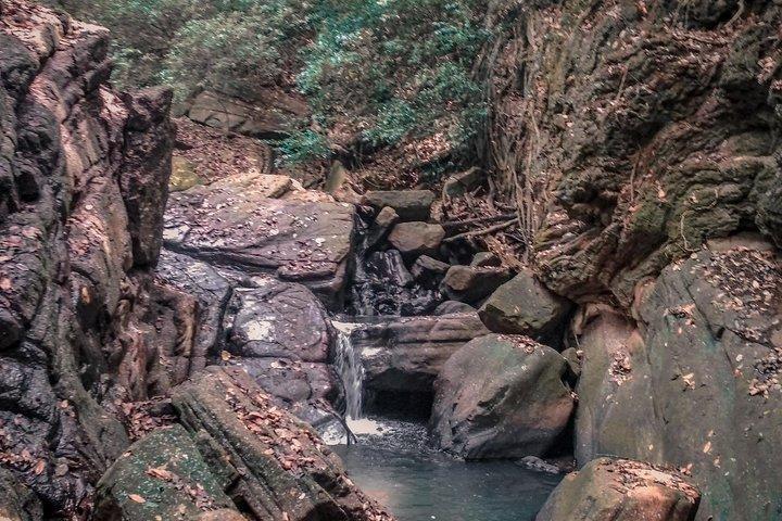 Udawalawe Safari & Waulpane Caving day tour from Colombo