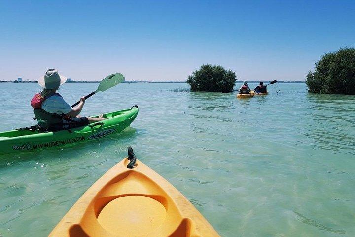 Mangroves Kayaking with Pickup & Drop Off