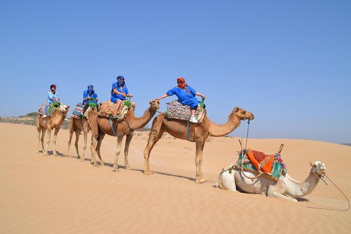 Essaouira 2-Hour Camel Adventure Ride