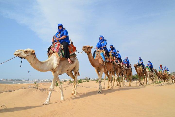 Essaouira 2-Hour Camel Adventure Ride