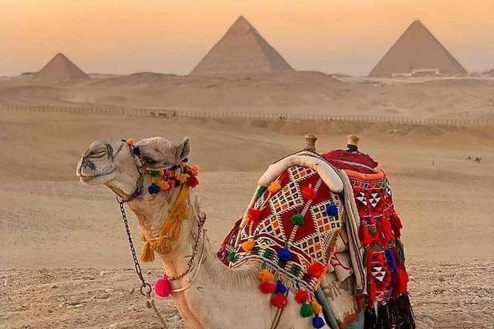 Ride a Camel at The Great Pyramids of Egypt