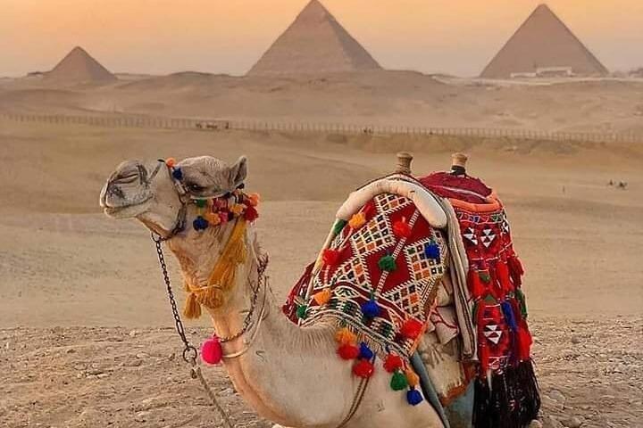 Private Half-Day Tour of Giza Pyramids by Camel or Horse
