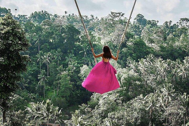 Individual Bali Day Trip with Private Driver and Free WiFi
