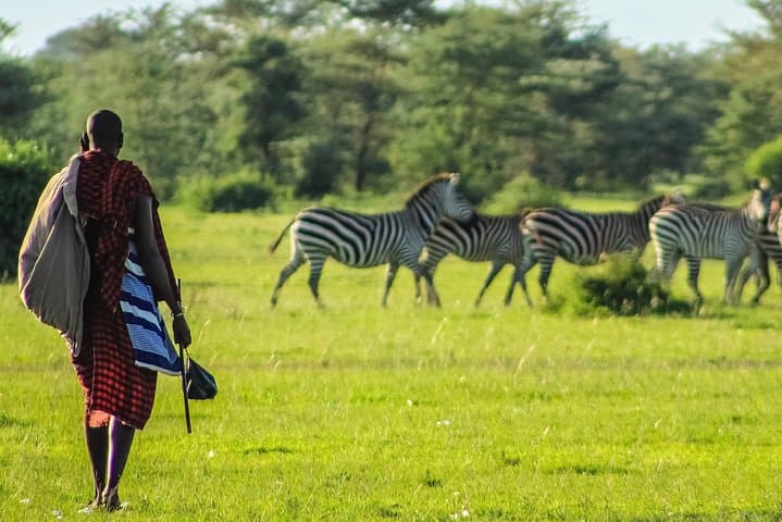 5 days Maasai mara/Nakuru/Naivasha safari