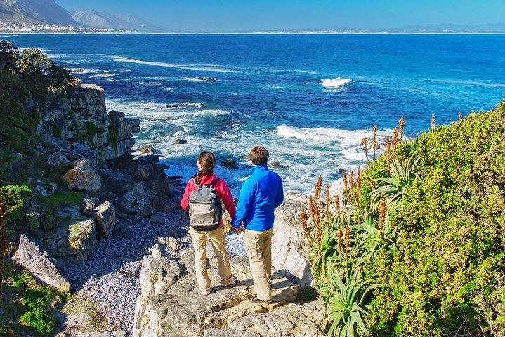 From Cape Town: Full Day Guided Hermanus and Whale Tour