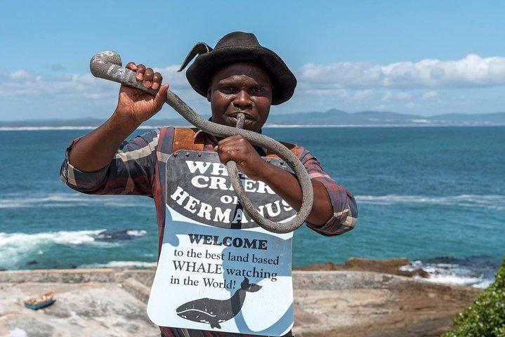 From Cape Town: Full Day Guided Hermanus and Whale Tour