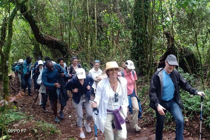 Best Kilimanjaro Adventures 6 Days Marangu Route Experience