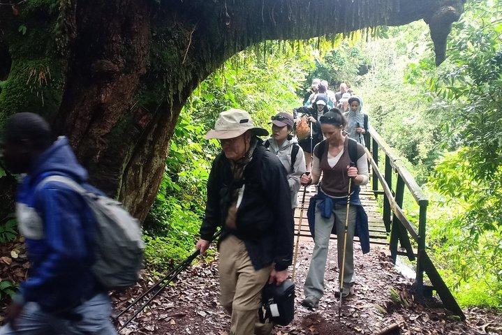 Best Kilimanjaro Adventures 6 Days Marangu Route Experience