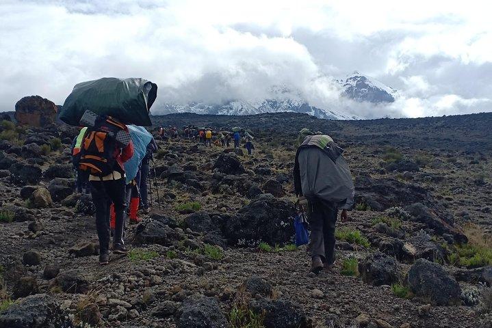Best Kilimanjaro Adventures 6 Days Marangu Route Experience