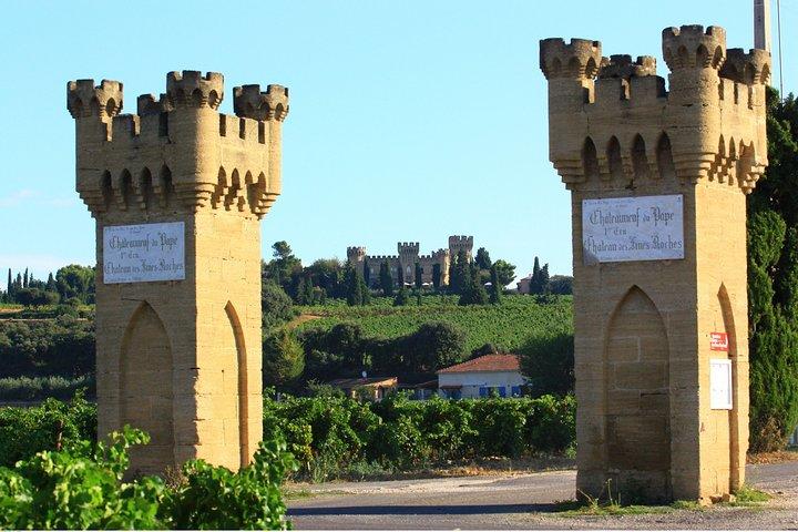 Châteauneuf du Pape Wine Day Tasting Tour including Lunch from Avignon
