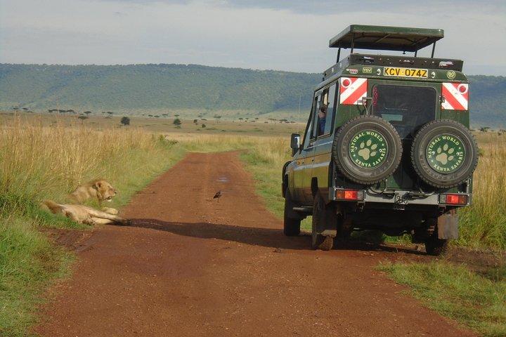 Lake Nakuru, Naivasha & Masai Mara 4 Days Private Jeep Safari