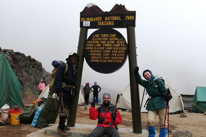 Best Kilimanjaro Adventure 7 days Machame route Trekking